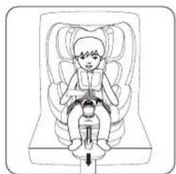 Osann Floyd - Securing your child in the enhanced child seat - 6
