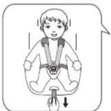 Osann Floyd - Adjust and use the harness - 2