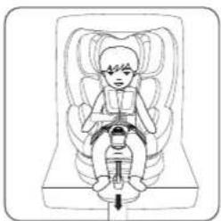 Osann Floyd - Securing your child in the enhanced child seat - 7