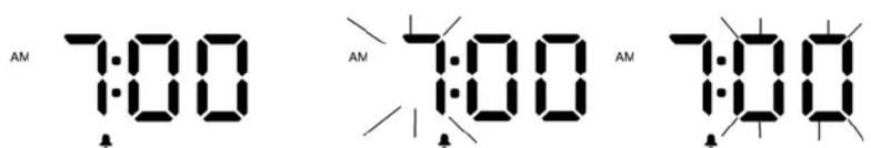 AM 7:00 AM 7:00 AM 7:00
