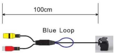 100cm Blue Loop