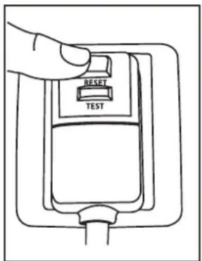 RESET TEST