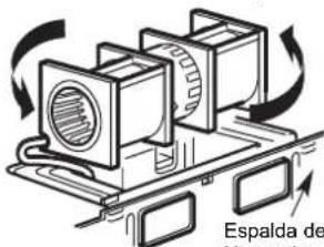 Espalda de