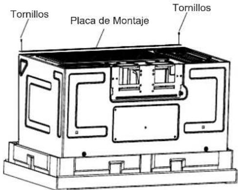 Tornillos Placa de Montaje Tornillos