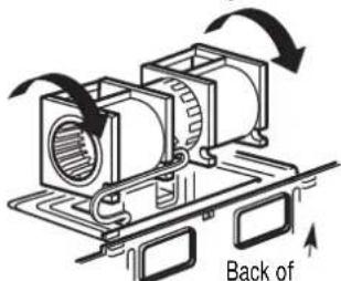 Back of