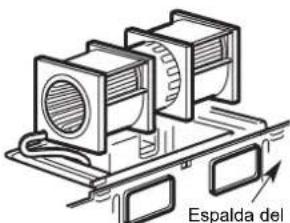 Espalda del