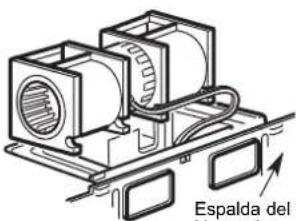Espalda del