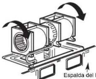 Espalda del