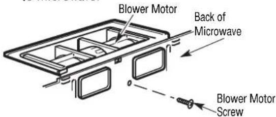 Blower Motor Back of Microwave Blower Motor Screw