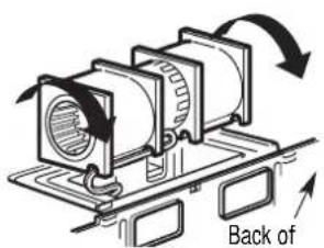 Back of