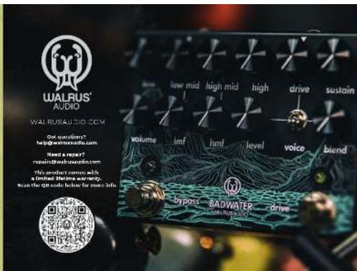 Walrus Audio Badwater - 1