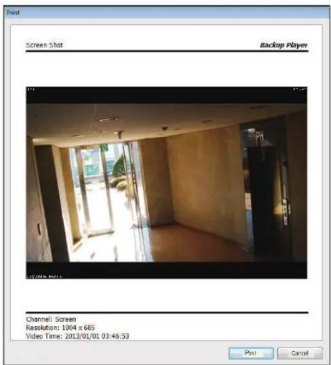 Vitek VT-SRP916 - Print Out - 1