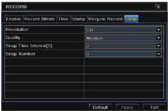 RECORD Enable Record Bitrate Time Stamp Recycle Record Snap Resolution GIF Quality Medium Snap Time Interval[S] 2 Snap Number 3 Default Apply Exit