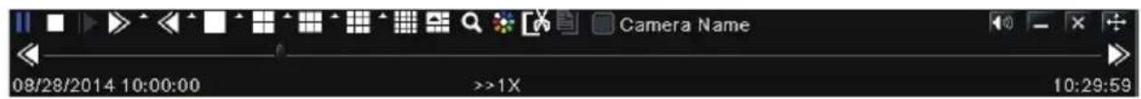 Camera Name 08/28/2014 10:00:00 >>1X 10:29:59