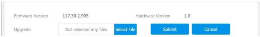 Firmware Version 117.30.2.905 Hardware Version 1.0 Upgrade Not selected any files Select File Submit Cancel