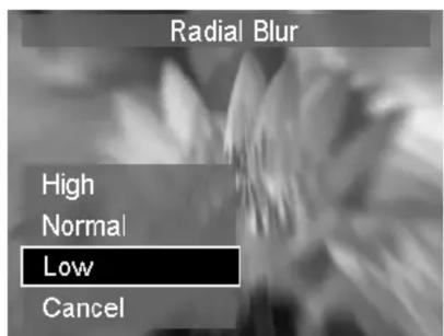 Radial Blur High Normal Low Cancel