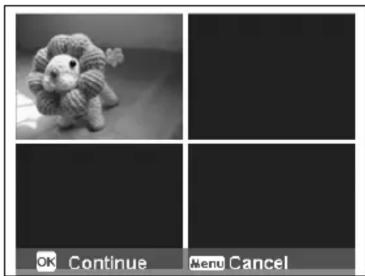 SANYO VPC-S1414 - Using Auction Mode - 3
