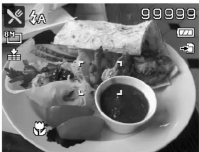 SANYO VPC-S1414 - Using Food Mode - 1