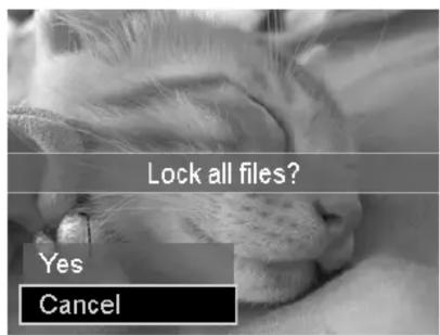 Lock all files? Yes Cancel