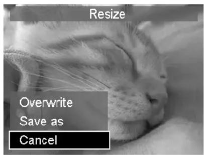 Resize Overwrite Save as Cancel