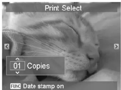 Print Select 01 Copies FUNC Date stamp on