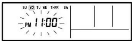 SU WO TU WE THFR SA PM 11:00