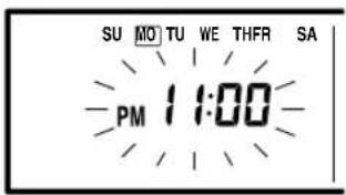 SU MO TU WE THFR SA PM 11:00