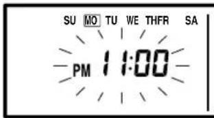 SU MO TU WE THFR SA PM 11:00