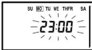 SU MO TU WE THFR SA 23:00