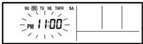 SU MO TU WE THFR SA PM 11:00
