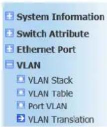 Netis EP8204 - VLAN Translation - 1