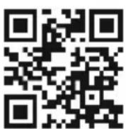 Deaf Bonce Avatar SST-315 D2 - INFORMATION ON DISPOSAL OF THE ELECTRICAL AND ELECTRONIC EQUIPMENT (FOR THE EUROPEAN COUNTRIES WITH SEPARATE WASTE COLLECTION) - 1