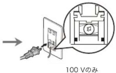 100 Vのみ