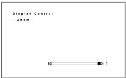 Display Control - Zoom -