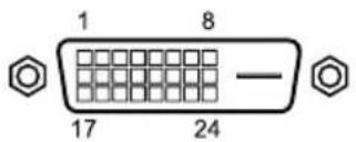 1 8 17 24