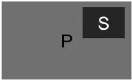 P S