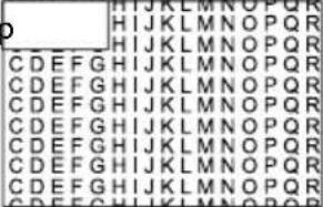 FSN FS-L3202D - Submenu Descriptions - 2