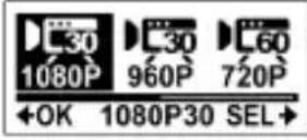 COBRA WASPcam 9901 - Video Resolution - 2