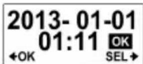 COBRA WASPcam 9901 - Date and Time - 4