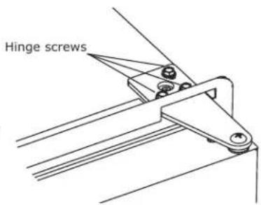 Hinge screws