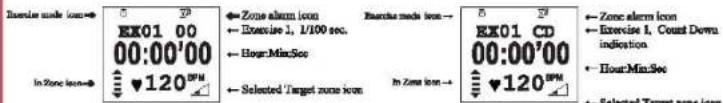 Ex01 00 00:00'00 In Zone Icon→ Ex01 CD 00:00'00 In Zone Icon→ Zone alarm icon Exercise 1, 1/100 sec. Hour:Min:Sec Selected Target zone icon Ex01 2° Zone alarm icon Exercise 1, Count Down indication Hour:Min:Sec Selected Target zone icon