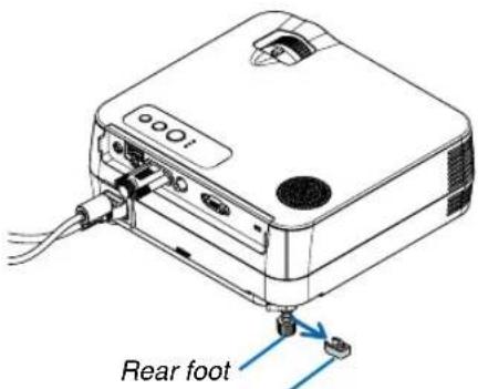 Rear foot