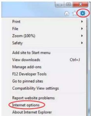 Print File Zoom (100%) Safety Add site to Start menu View downloads Ctrl+J Manage add-ons F12 Developer Tools Go to pinned sites Compatibility View settings Report website problems Internet options About Internet Explorer