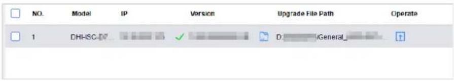 NO. Model IP Version Upgrade File Path Operate 1 DHHSC-D7 ✓ D General_