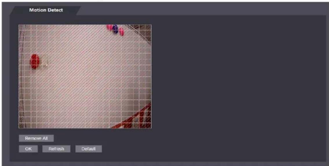 Motion Detect Remove All OK Refresh Default