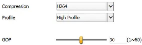 Compression H264 Profile High Profile GOP 30 (1~60)