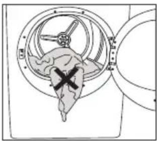Diagram of a biological structure with a central cross mark, enclosed within a circular frame (no text or symbols)