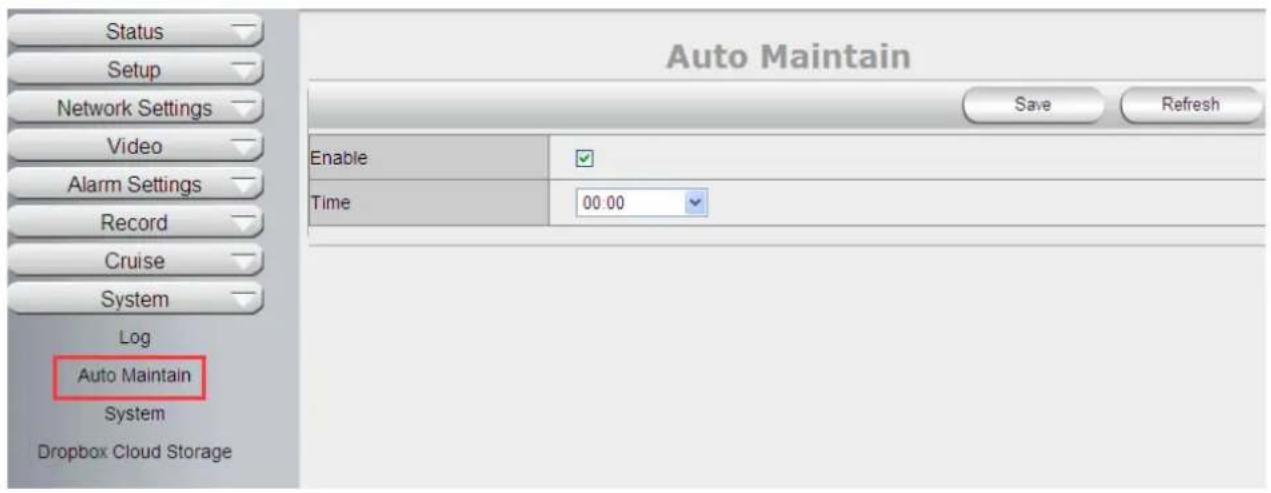 Status Setup Network Settings Video Alarm Settings Record Cruise System Log Auto Maintain System Dropbox Cloud Storage Auto Maintain Save Refresh Enable Time 00.00