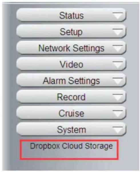 Status Setup Network Settings Video Alarm Settings Record Cruise System Dropbox Cloud Storage
