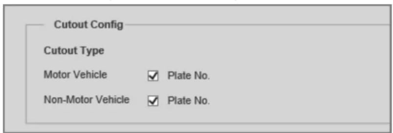 Cutout Config Cutout Type Motor Vehicle ✓ Plate No. Non-Motor Vehicle ✓ Plate No.